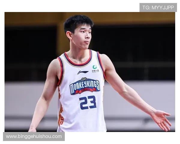 媒体人澄清未指责林葳试训NBL不合格只是提出建议希望他去尝试